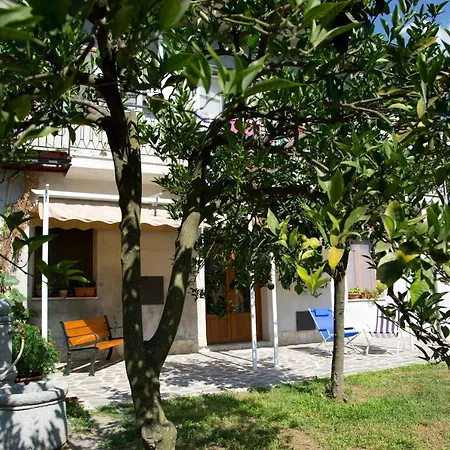 Il Moro Bianco-2